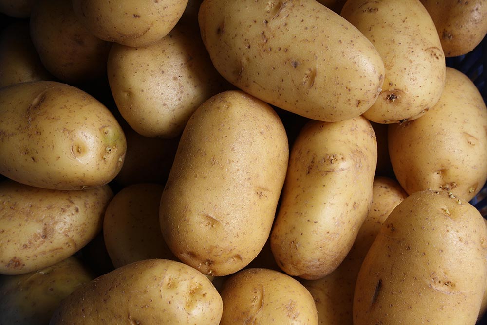 See Us at British Potato 2019!